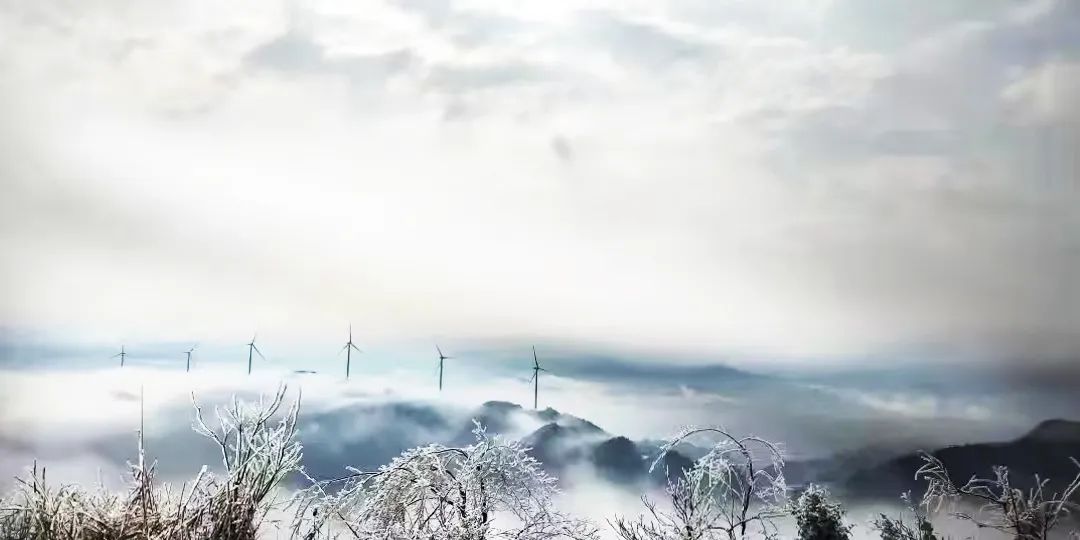 必发·bifa(中国集团)唯一官方网站