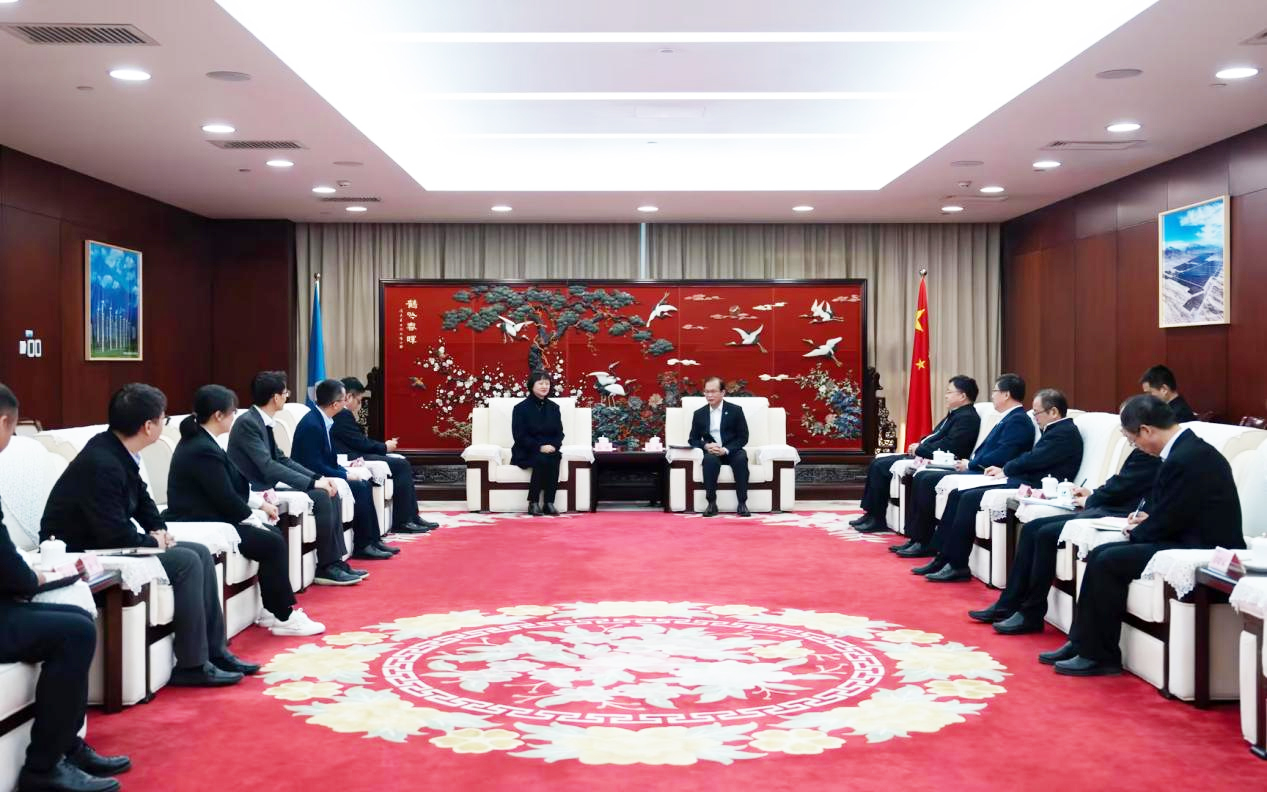必发bifa股份董事长高玲造访中国华电董事长江毅
